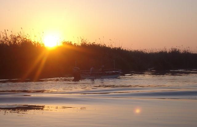 Delta forever - sany6800.JPG